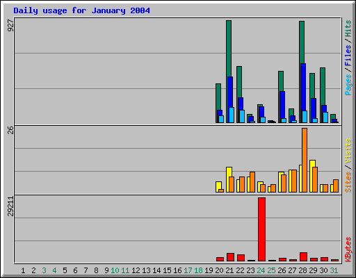 Daily usage for January 2004