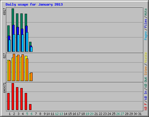 Daily usage for January 2013