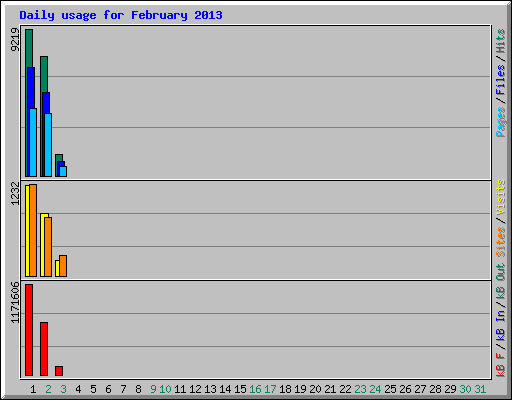 Daily usage for February 2013