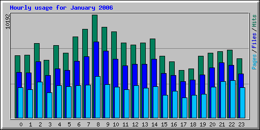Hourly usage for January 2006