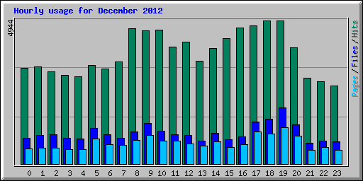 Hourly usage for December 2012