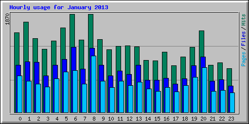 Hourly usage for January 2013