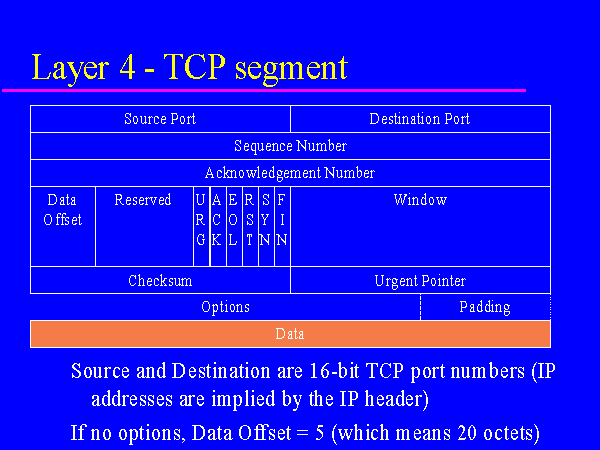 Layer 4 - TCP segment
